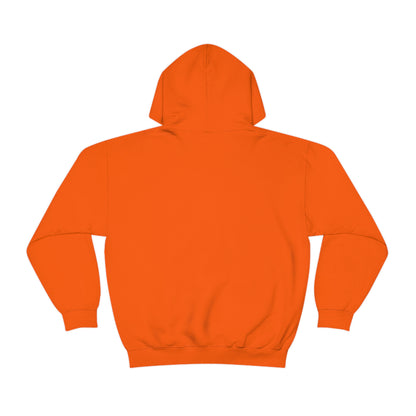 Go on, blame the network - Network Engineer, Cisco, Network, Wifi, Sysadmin, IT Support Hoodie
