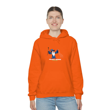 Project Wizard, Sysadmin, Project Manager, PM, Program Manager, IT Support, Sysadmin Hoodie