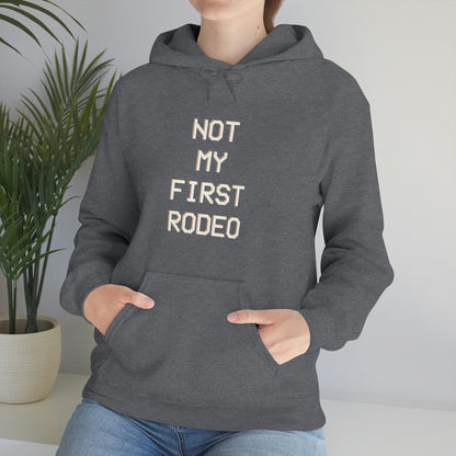 "Not My First Rodeo" Funny, Sysadmin, Geek, Gamer, Developer, Gift Hooded Sweatshirt