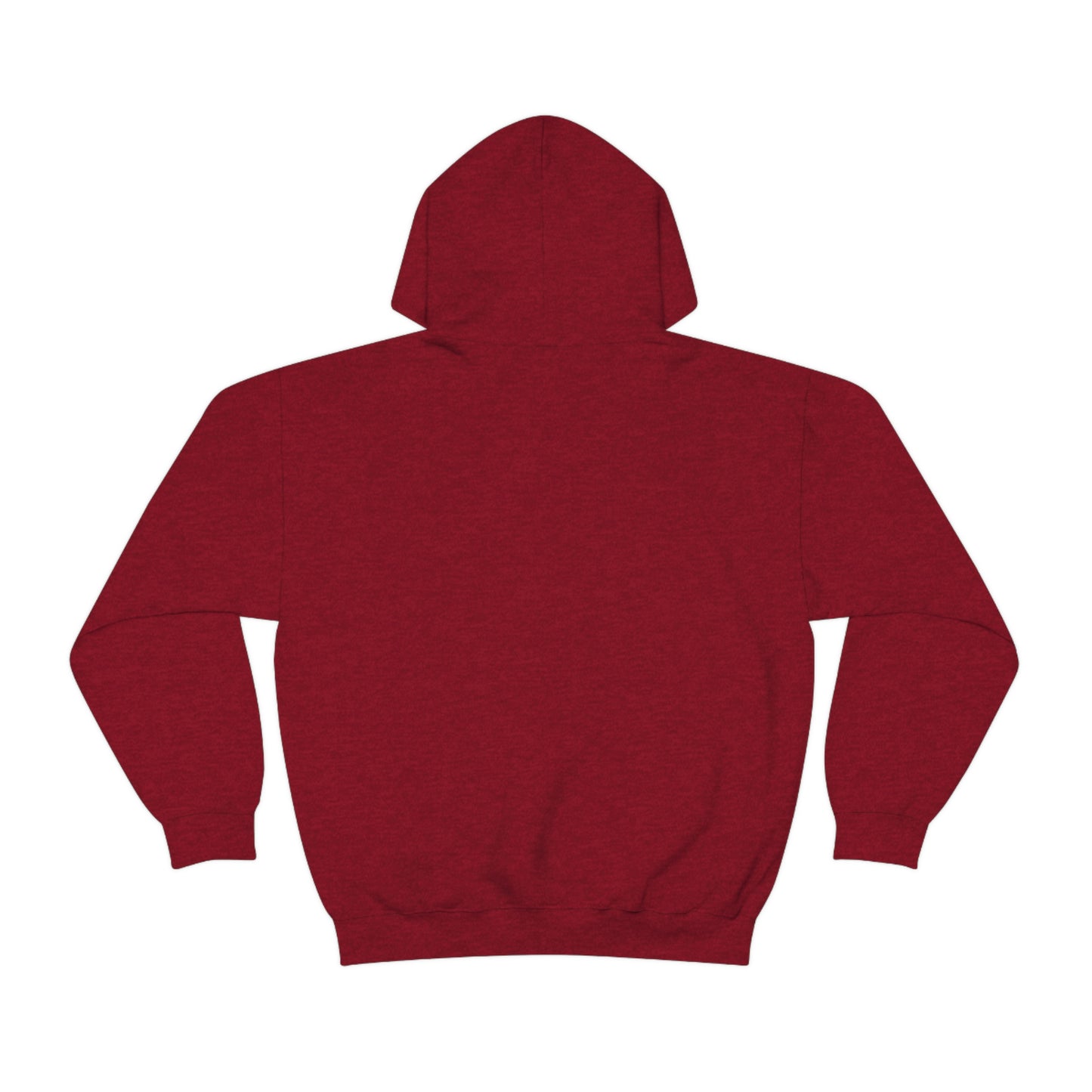 Talk Techy to me Hoodie