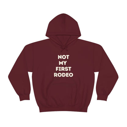 "Not My First Rodeo" Funny, Sysadmin, Geek, Gamer, Developer, Gift Hooded Sweatshirt