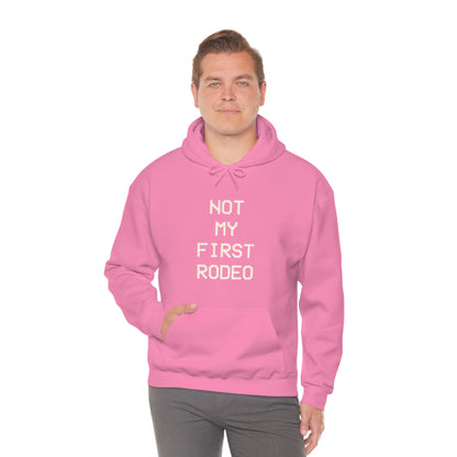 "Not My First Rodeo" Funny, Sysadmin, Geek, Gamer, Developer, Gift Hooded Sweatshirt
