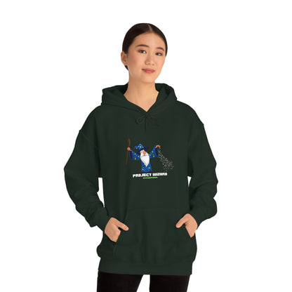 Project Wizard, Sysadmin, Project Manager, PM, Program Manager, IT Support, Sysadmin Hoodie