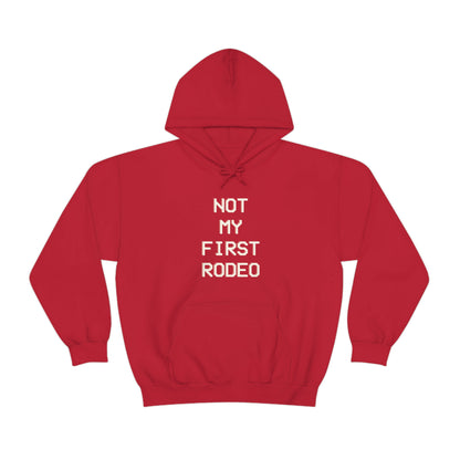 "Not My First Rodeo" Funny, Sysadmin, Geek, Gamer, Developer, Gift Hooded Sweatshirt
