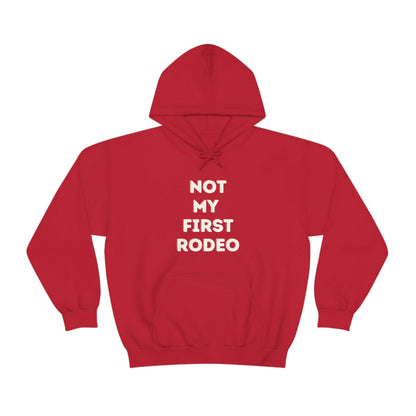 "Not My First Rodeo" Funny, Sysadmin, Geek, Gamer, Developer, Gift Hooded Sweatshirt