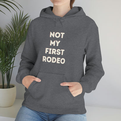 "Not My First Rodeo" Funny, Sysadmin, Geek, Gamer, Developer, Gift Hooded Sweatshirt