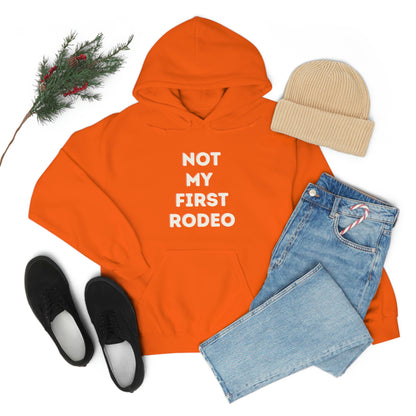 "Not My First Rodeo" Funny, Sysadmin, Geek, Gamer, Developer, Gift Hooded Sweatshirt