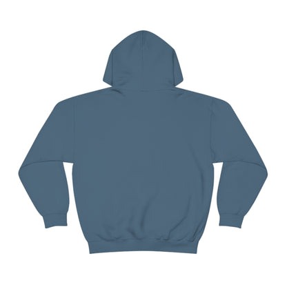 Go on, blame the network - Network Engineer, Cisco, Network, Wifi, Sysadmin, IT Support Hoodie