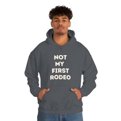 "Not My First Rodeo" Funny, Sysadmin, Geek, Gamer, Developer, Gift Hooded Sweatshirt