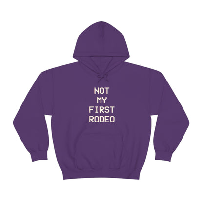 "Not My First Rodeo" Funny, Sysadmin, Geek, Gamer, Developer, Gift Hooded Sweatshirt