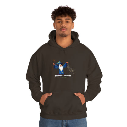 Project Wizard, Sysadmin, Project Manager, PM, Program Manager, IT Support, Sysadmin Hoodie