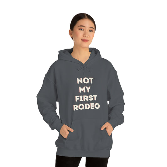 "Not My First Rodeo" Funny, Sysadmin, Geek, Gamer, Developer, Gift Hooded Sweatshirt