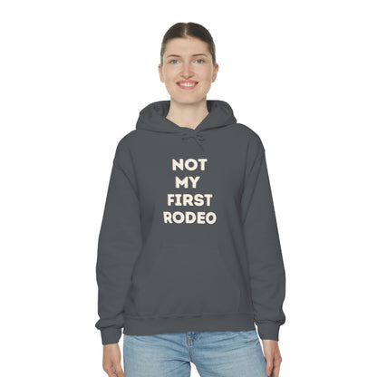"Not My First Rodeo" Funny, Sysadmin, Geek, Gamer, Developer, Gift Hooded Sweatshirt