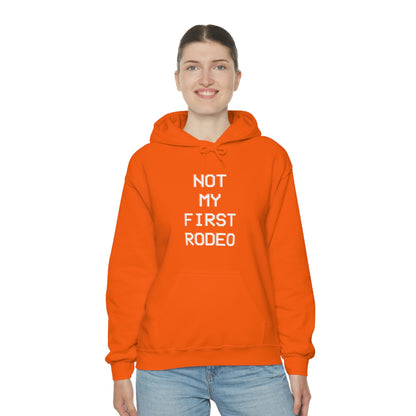 "Not My First Rodeo" Funny, Sysadmin, Geek, Gamer, Developer, Gift Hooded Sweatshirt
