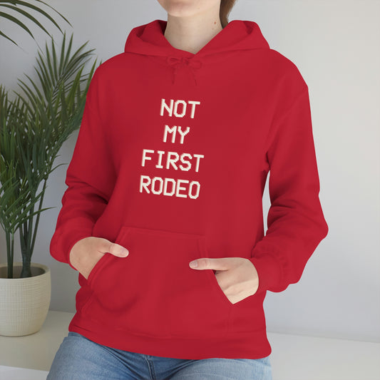 "Not My First Rodeo" Funny, Sysadmin, Geek, Gamer, Developer, Gift Hooded Sweatshirt