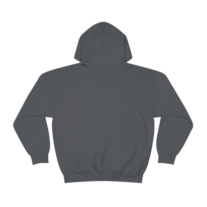 Go on, blame the network - Network Engineer, Cisco, Network, Wifi, Sysadmin, IT Support Hoodie