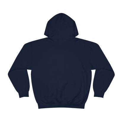 Go on, blame the network - Network Engineer, Cisco, Network, Wifi, Sysadmin, IT Support Hoodie