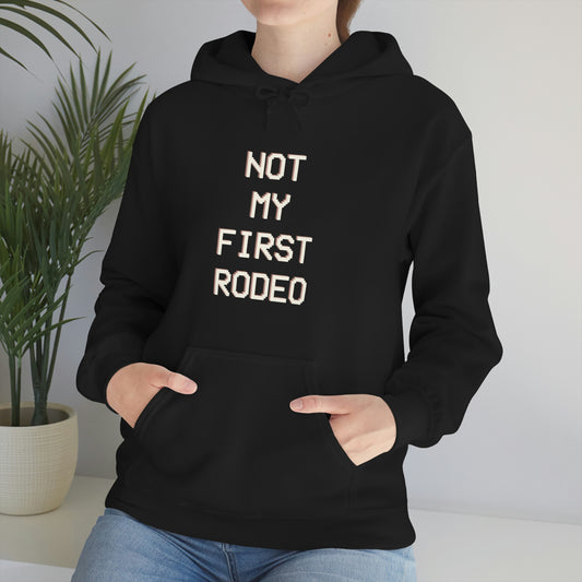 "Not My First Rodeo" Funny, Sysadmin, Geek, Gamer, Developer, Gift Hooded Sweatshirt