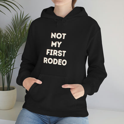 "Not My First Rodeo" Funny, Sysadmin, Geek, Gamer, Developer, Gift Hooded Sweatshirt