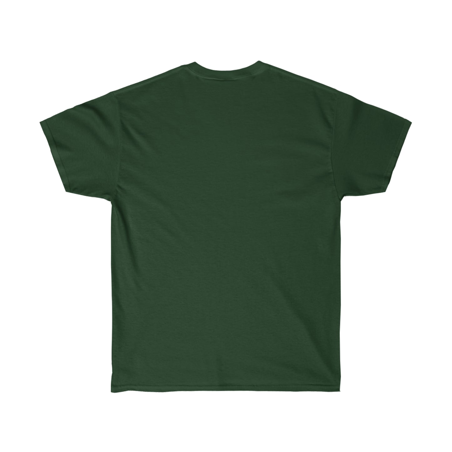 Have you checked DNS? - Network Engineer, Cisco, Network, SDWan, IT Support, Sysadmin, DNS Funny Tshirt