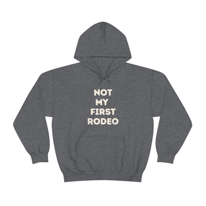 "Not My First Rodeo" Funny, Sysadmin, Geek, Gamer, Developer, Gift Hooded Sweatshirt