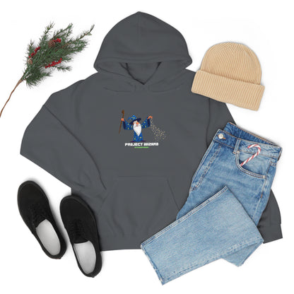 Project Wizard, Sysadmin, Project Manager, PM, Program Manager, IT Support, Sysadmin Hoodie