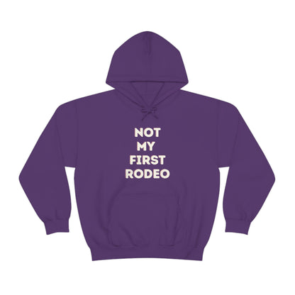 "Not My First Rodeo" Funny, Sysadmin, Geek, Gamer, Developer, Gift Hooded Sweatshirt