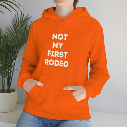 "Not My First Rodeo" Funny, Sysadmin, Geek, Gamer, Developer, Gift Hooded Sweatshirt