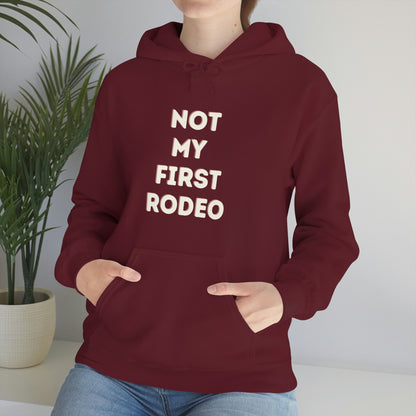 "Not My First Rodeo" Funny, Sysadmin, Geek, Gamer, Developer, Gift Hooded Sweatshirt