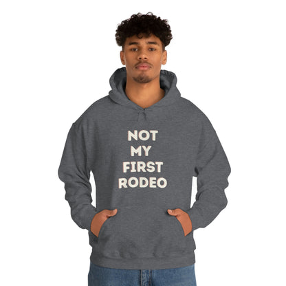 "Not My First Rodeo" Funny, Sysadmin, Geek, Gamer, Developer, Gift Hooded Sweatshirt