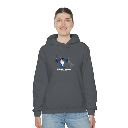 Project Wizard, Sysadmin, Project Manager, PM, Program Manager, IT Support, Sysadmin Hoodie